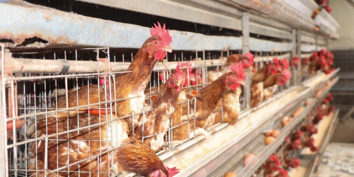 WhatsApp Image 2025-10-02 à 17.00.11_c168c1b1