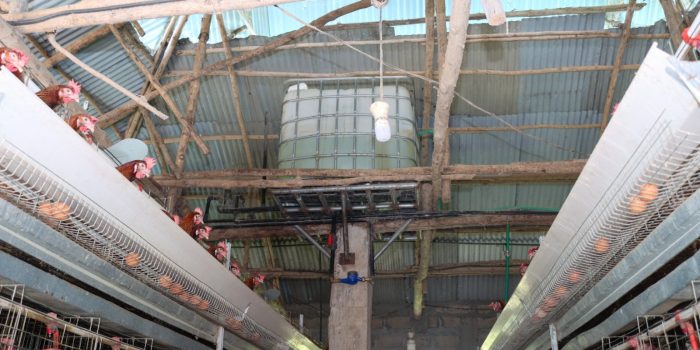 WhatsApp Image 2025-10-02 à 17.00.15_28a0857e