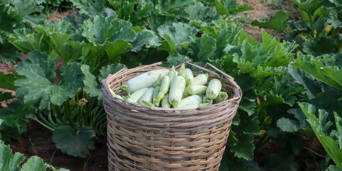 WhatsApp Image 2025-10-02 à 17.00.16_206b4b79