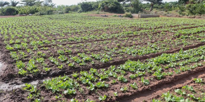 WhatsApp Image 2025-10-02 à 17.00.17_fa05724c